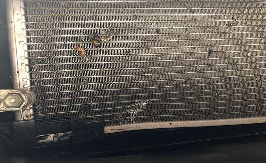 Why condenser will be damaged