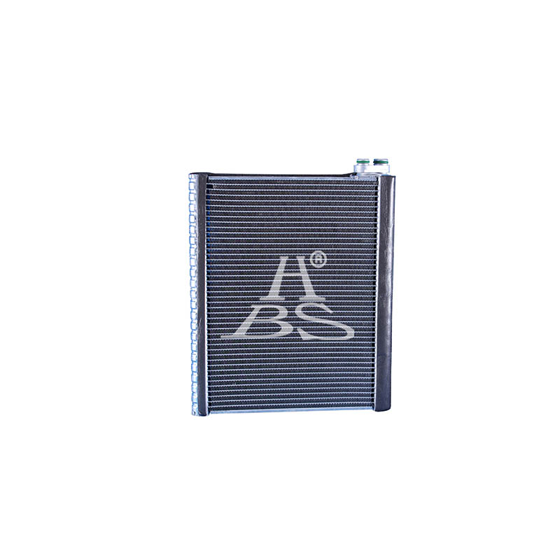 Evaporator For 885010N031